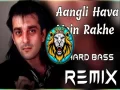 Angli Hava Mein Rakhe (Hard Bass Remix) Cover