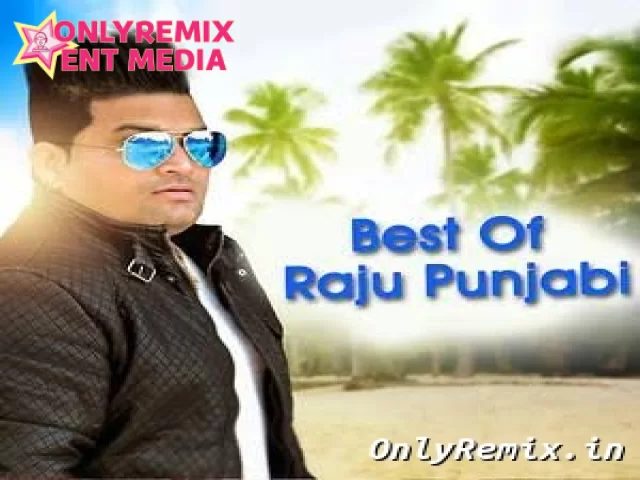 Raju Punjabi Raju Punjabi Cover