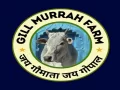 Gill Murrah Farm
