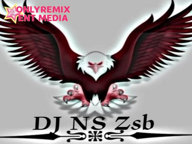 Dj Ns Zsb Sarfabad Dj Ns Zsb Sarfabad Cover