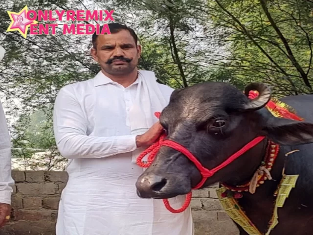 Parveen Murrah Farm Parveen Murrah Farm Cover
